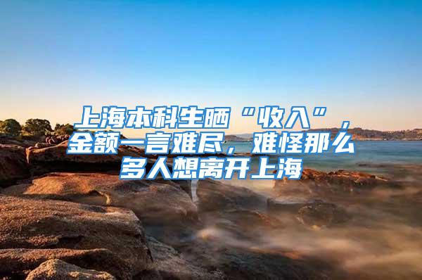 上海本科生曬“收入”，金額一言難盡，難怪那么多人想離開上海