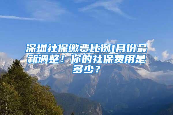 深圳社保繳費比例1月份最新調整！你的社保費用是多少？