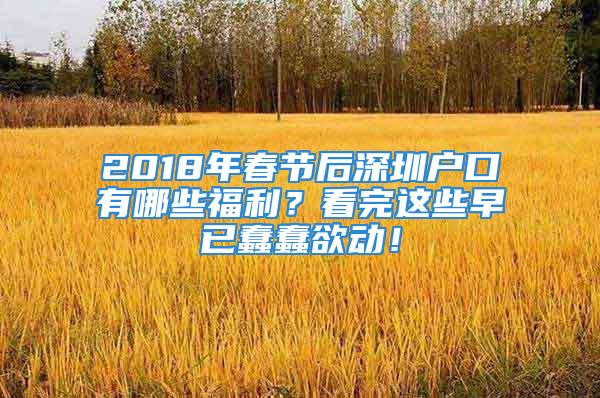 2018年春節后深圳戶口有哪些福利？看完這些早已蠢蠢欲動！