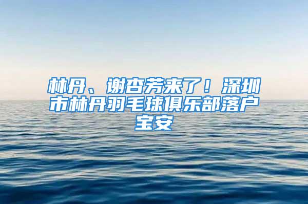 林丹、謝杏芳來了！深圳市林丹羽毛球俱樂部落戶寶安