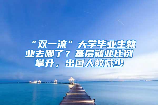 “雙一流”大學畢業生就業去哪了？基層就業比例攀升，出國人數減少