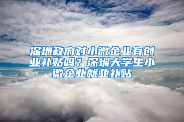 深圳政府對小微企業有創業補貼嗎？深圳大學生小微企業就業補貼