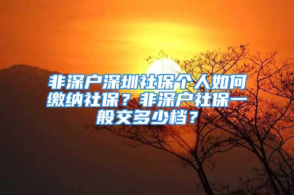 非深戶深圳社保個人如何繳納社保？非深戶社保一般交多少檔？