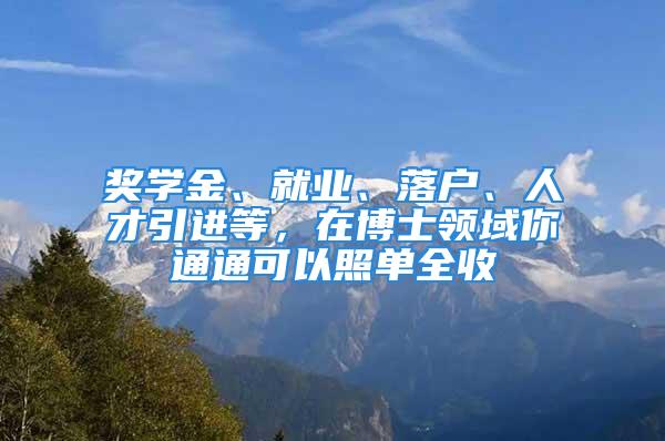 獎學金、就業、落戶、人才引進等，在博士領域你通通可以照單全收