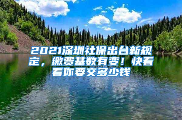 2021深圳社保出臺新規定，繳費基數有變！快看看你要交多少錢