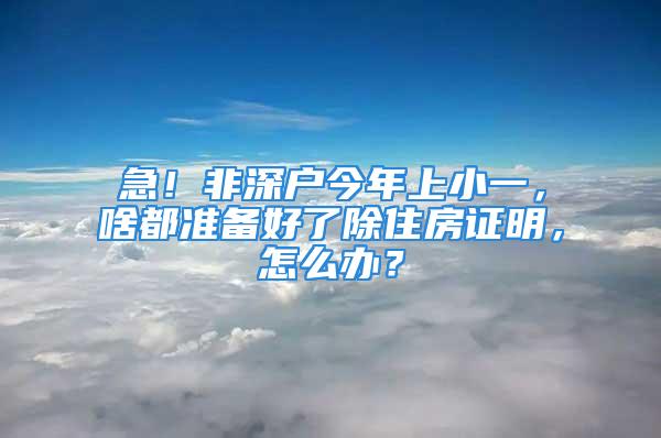 急！非深戶今年上小一，啥都準備好了除住房證明，怎么辦？