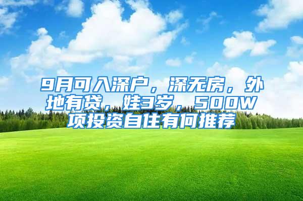 9月可入深戶，深無房，外地有貸，娃3歲，500W項投資自住有何推薦