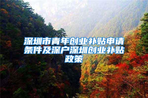 深圳市青年創業補貼申請條件及深戶深圳創業補貼政策