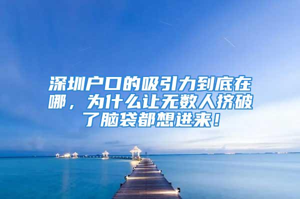 深圳戶口的吸引力到底在哪，為什么讓無數人擠破了腦袋都想進來！