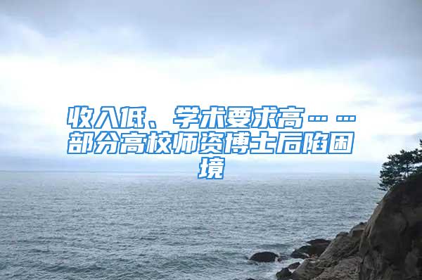 收入低、學術要求高……部分高校師資博士后陷困境