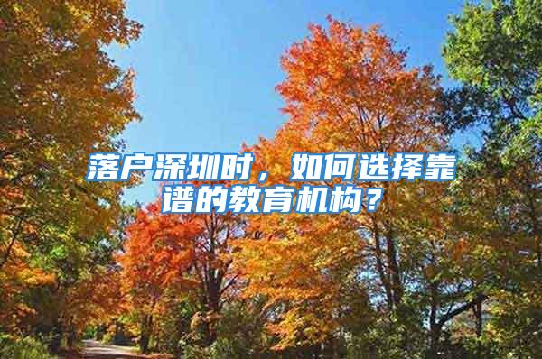 落戶深圳時，如何選擇靠譜的教育機構？