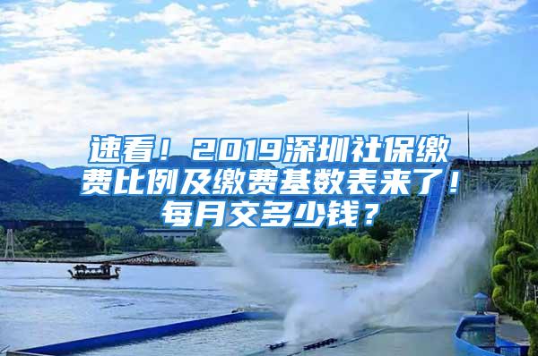 速看！2019深圳社保繳費比例及繳費基數表來了！每月交多少錢？