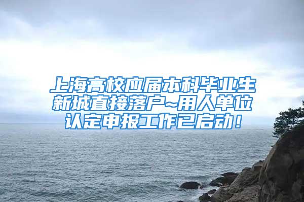 上海高校應屆本科畢業生新城直接落戶~用人單位認定申報工作已啟動！