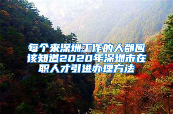 每個來深圳工作的人都應該知道2020年深圳市在職人才引進辦理方法