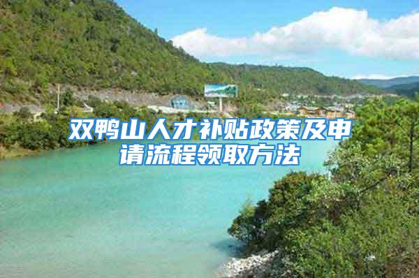 雙鴨山人才補貼政策及申請流程領取方法