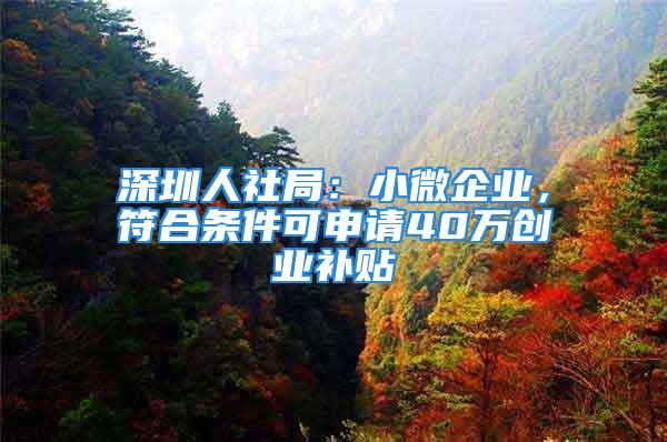 深圳人社局：小微企業，符合條件可申請40萬創業補貼