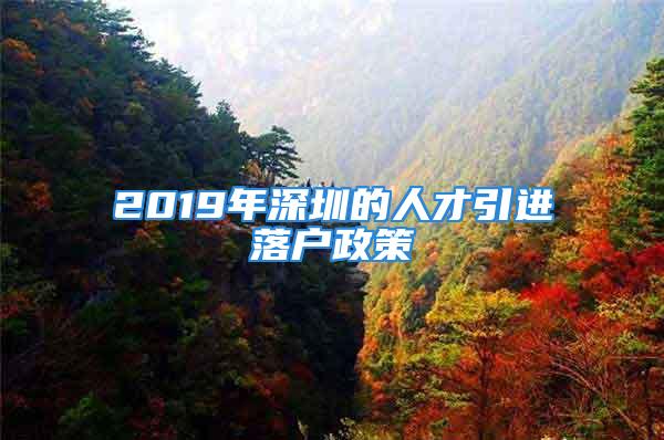 2019年深圳的人才引進落戶政策