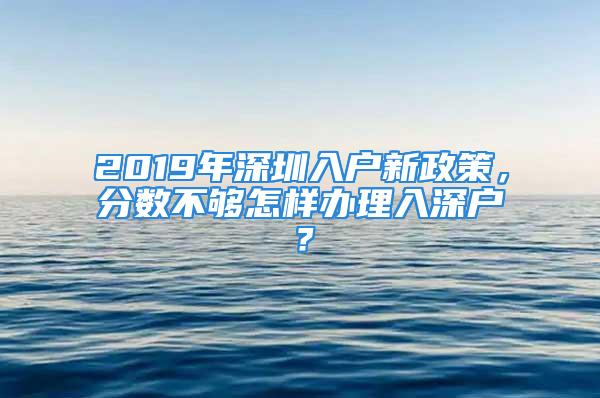 2019年深圳入戶新政策，分數不夠怎樣辦理入深戶？