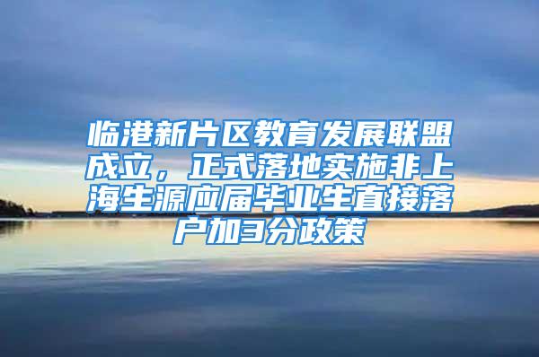 臨港新片區教育發展聯盟成立，正式落地實施非上海生源應屆畢業生直接落戶加3分政策