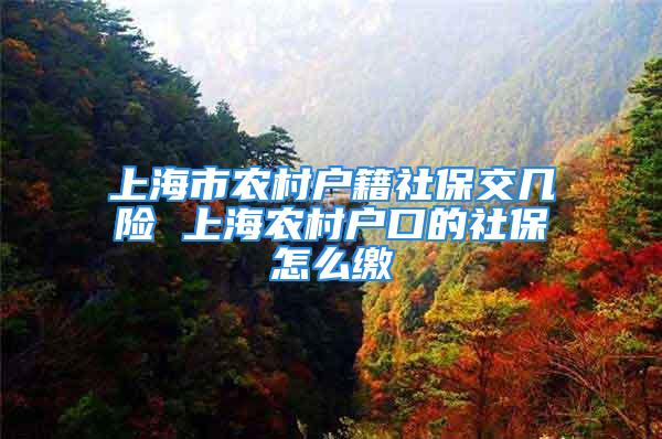 上海市農村戶籍社保交幾險 上海農村戶口的社保怎么繳