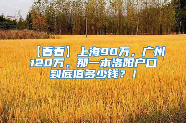 【看看】上海90萬，廣州120萬，那一本洛陽戶口到底值多少錢？！