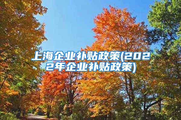 上海企業補貼政策(2022年企業補貼政策)