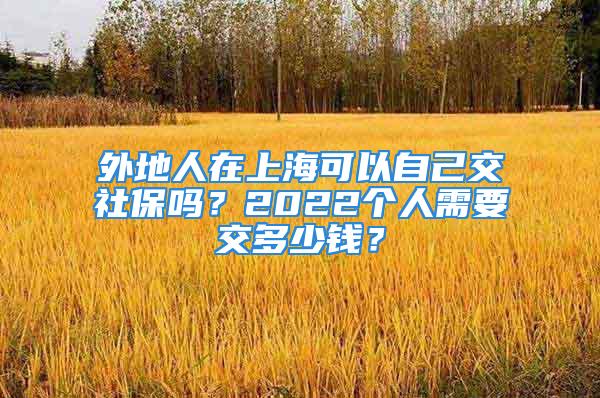 外地人在上?？梢宰约航簧绫?？2022個人需要交多少錢？