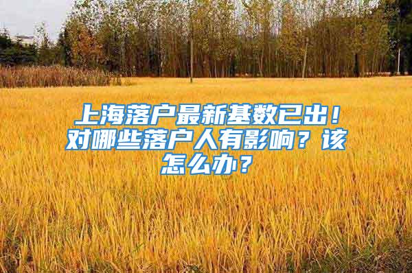 上海落戶最新基數已出！對哪些落戶人有影響？該怎么辦？