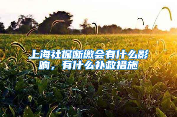 上海社保斷繳會有什么影響，有什么補救措施