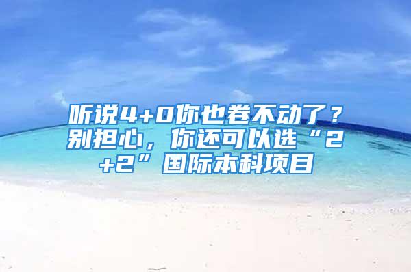 聽說4+0你也卷不動了？別擔心，你還可以選“2+2”國際本科項目