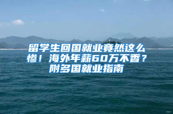 留學生回國就業竟然這么慘！海外年薪60萬不香？附多國就業指南