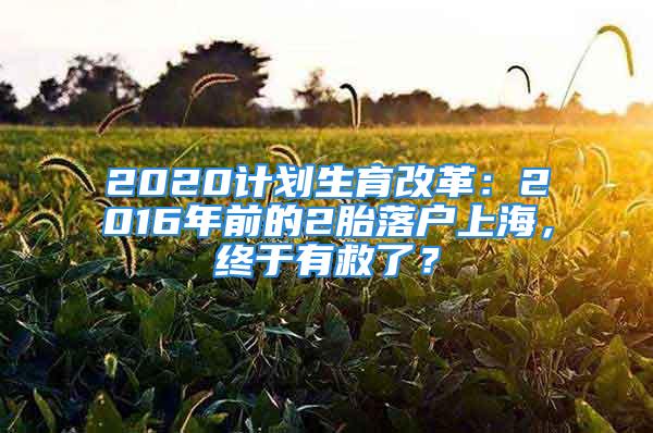 2020計劃生育改革：2016年前的2胎落戶上海，終于有救了？