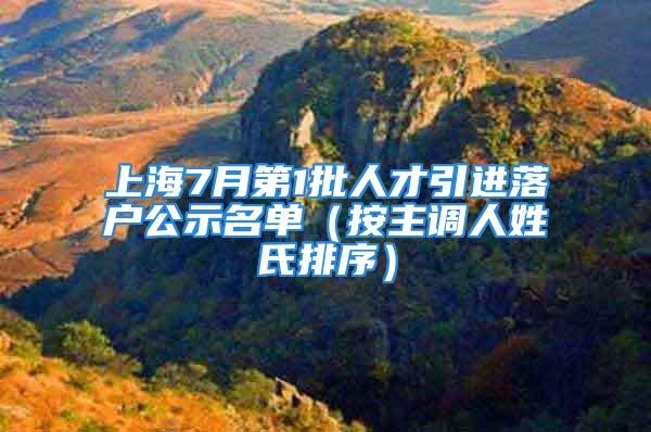 上海7月第1批人才引進落戶公示名單（按主調人姓氏排序）