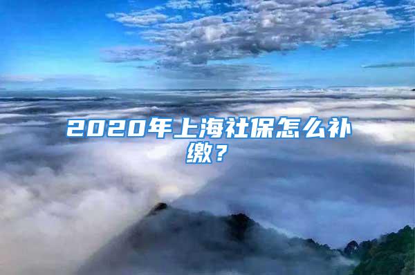 2020年上海社保怎么補繳？