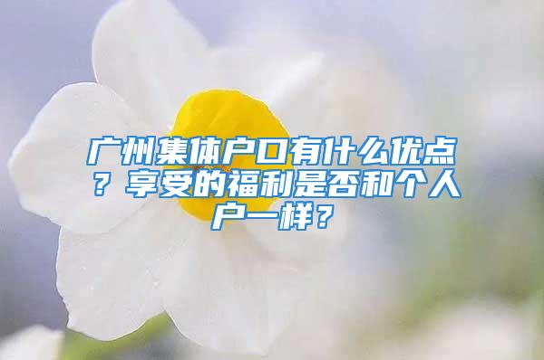 廣州集體戶口有什么優點？享受的福利是否和個人戶一樣？