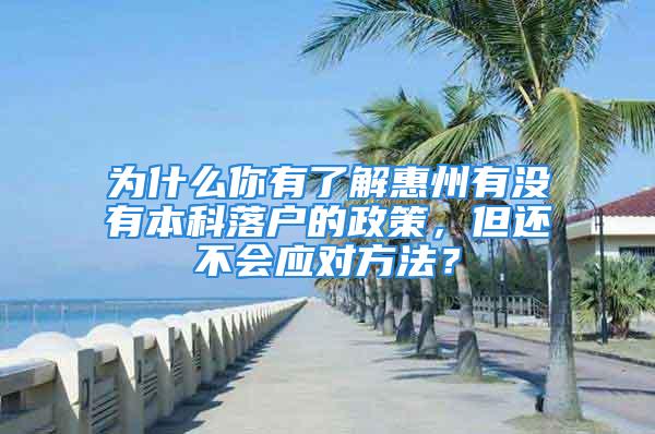 為什么你有了解惠州有沒有本科落戶的政策，但還不會應對方法？