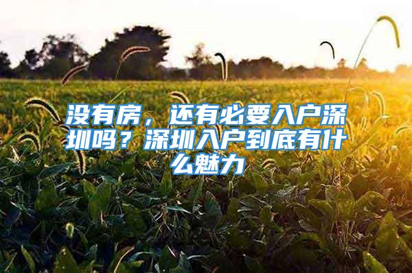 沒有房，還有必要入戶深圳嗎？深圳入戶到底有什么魅力