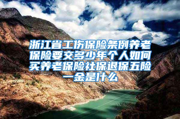 浙江省工傷保險條例養老保險要交多少年個人如何買養老保險社保退保五險一金是什么