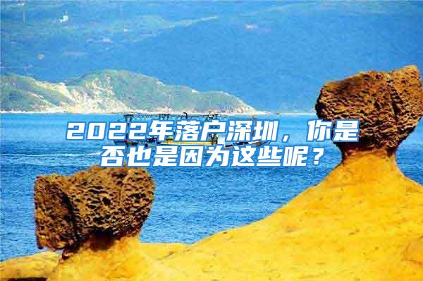 2022年落戶深圳，你是否也是因為這些呢？