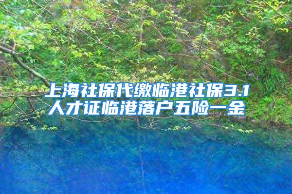 上海社保代繳臨港社保3.1人才證臨港落戶五險一金