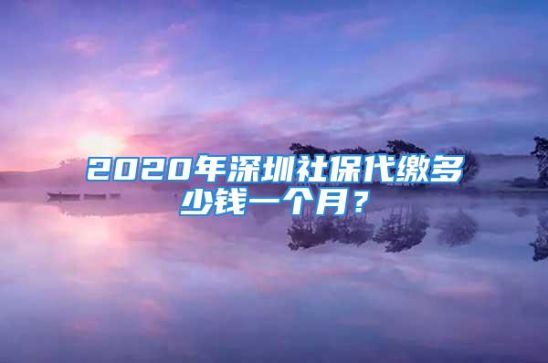 2020年深圳社保代繳多少錢一個月？