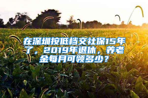 在深圳按低檔交社保15年了，2019年退休，養老金每月可領多少？