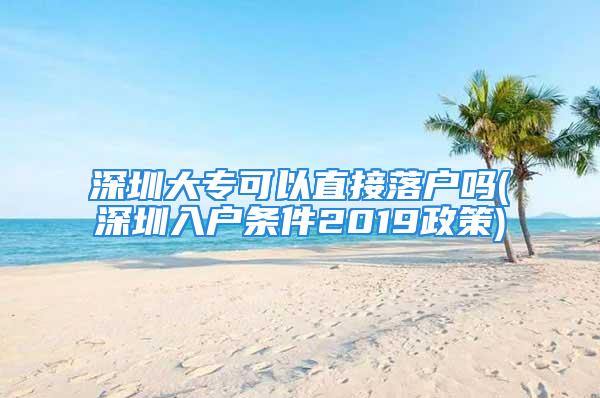 深圳大?？梢灾苯勇鋺魡?深圳入戶條件2019政策)