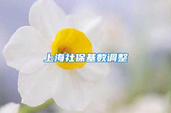 上海社?；鶖嫡{整