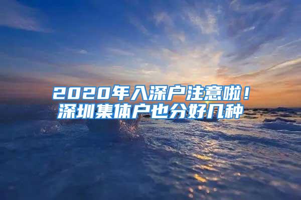 2020年入深戶注意啦！深圳集體戶也分好幾種