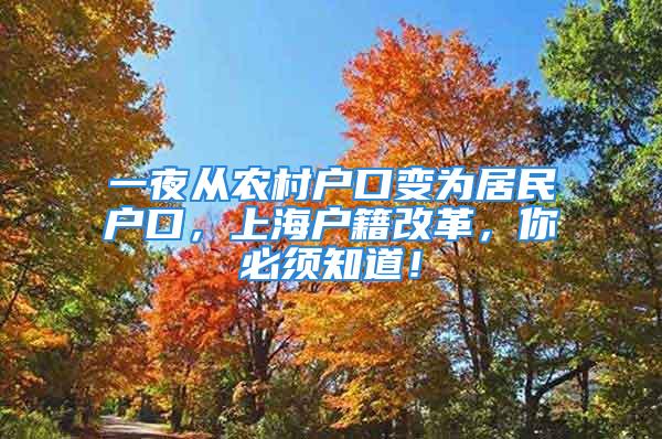 一夜從農村戶口變為居民戶口，上海戶籍改革，你必須知道！