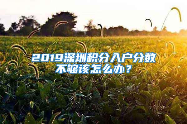 2019深圳積分入戶分數不夠該怎么辦？