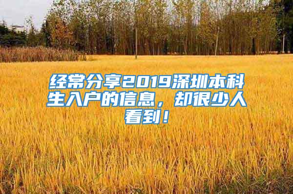 經常分享2019深圳本科生入戶的信息，卻很少人看到！