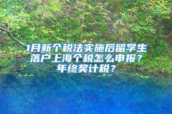 1月新個稅法實施后留學生落戶上海個稅怎么申報？年終獎計稅？