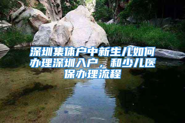 深圳集體戶中新生兒如何辦理深圳入戶，和少兒醫保辦理流程